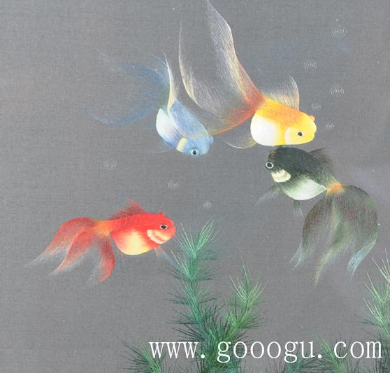 金魚自由自在的游動、展現(xiàn)出形態(tài)優(yōu)美的舞姿！